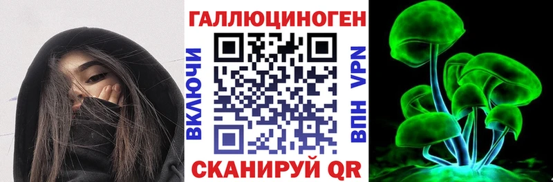 гидра   Ефремов  Галлюциногенные грибы Psilocybine cubensis 